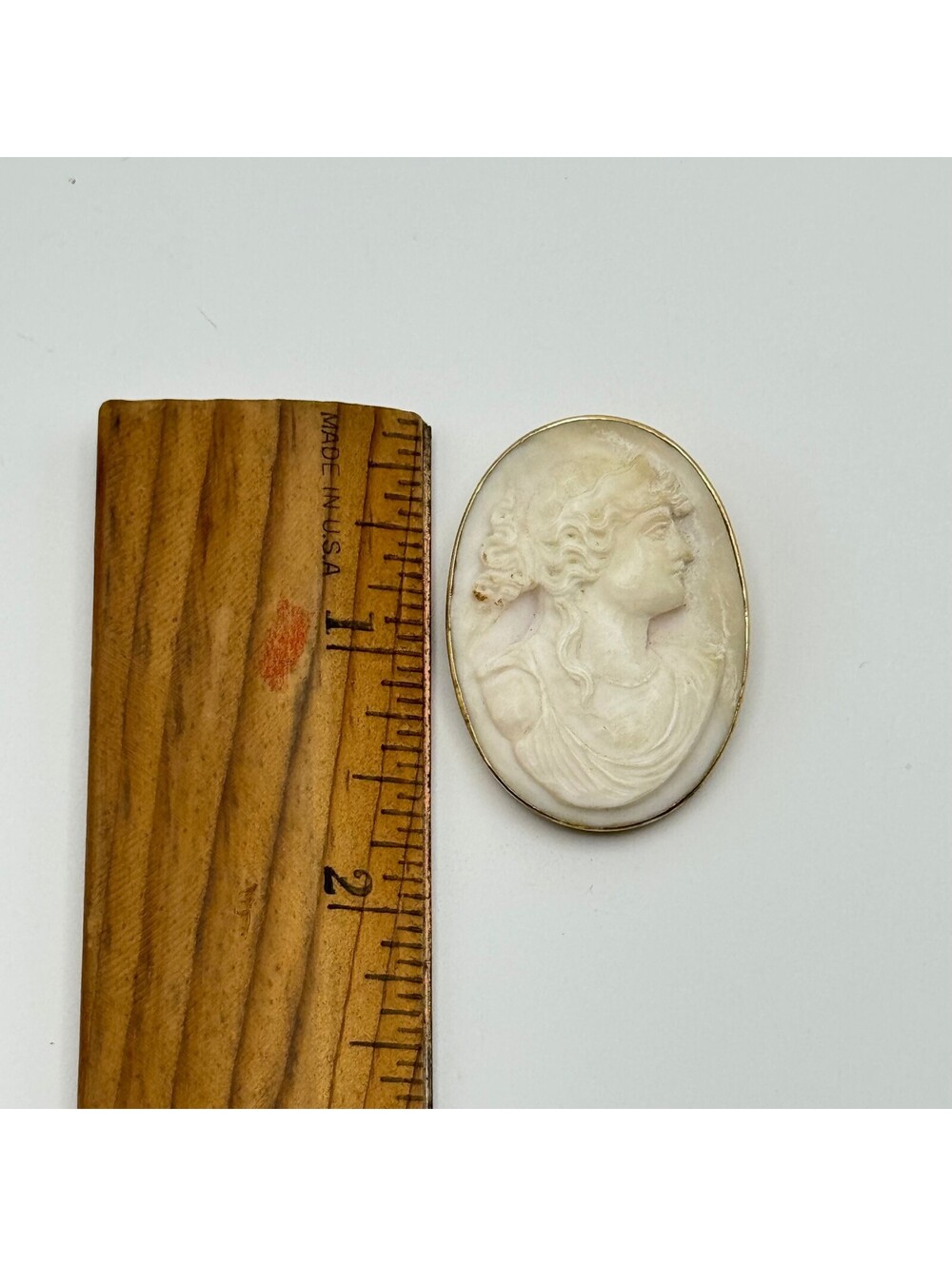 Conch, 10K Gold Cameo Brooch - Picture 4 of 5